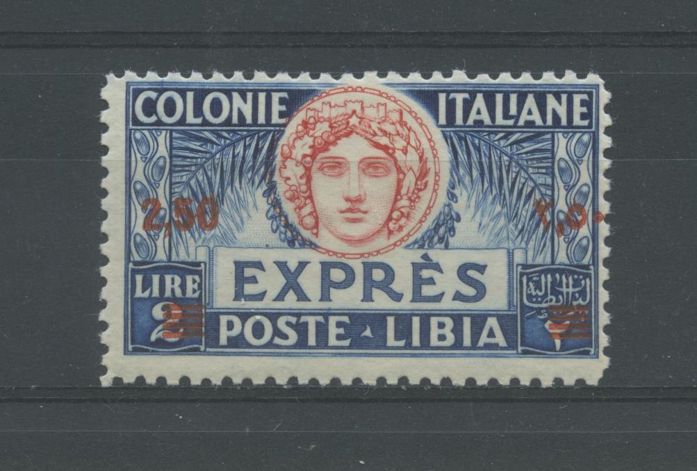 Scansione lotto: COLONIE LIBIA 1933 ESPRESSO N.13 **