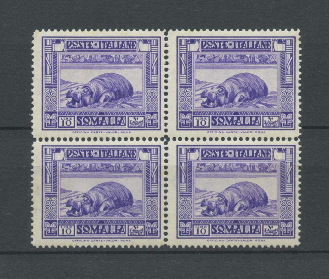 Scansione lotto: COLONIE SOMALIA 1935/8 PITTORICA L.10 X4 **  CERT.