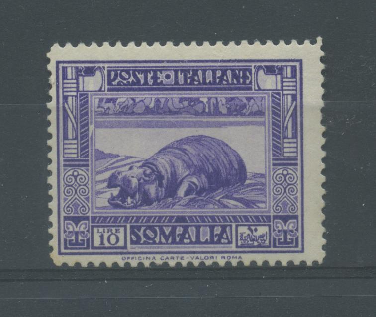 Scansione lotto: COLONIE SOMALIA 1935/8 PITTORICA L.10 **