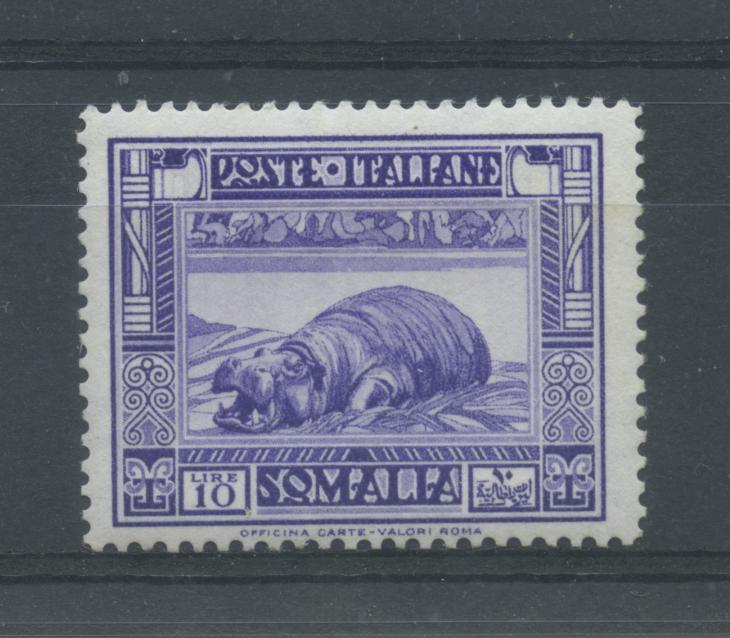 Scansione lotto: COLONIE SOMALIA 1935/8 PITTORICA L.10 * CENTRATO