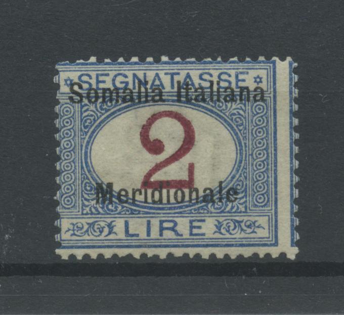 Scansione lotto: COLONIE SOMALIA 1906 TASSE N.9 **  CERT.