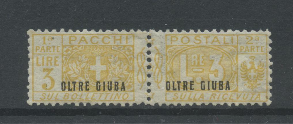 Scansione lotto: COLONIE OLTREGIUBA 1925 PACCHI L.3 *