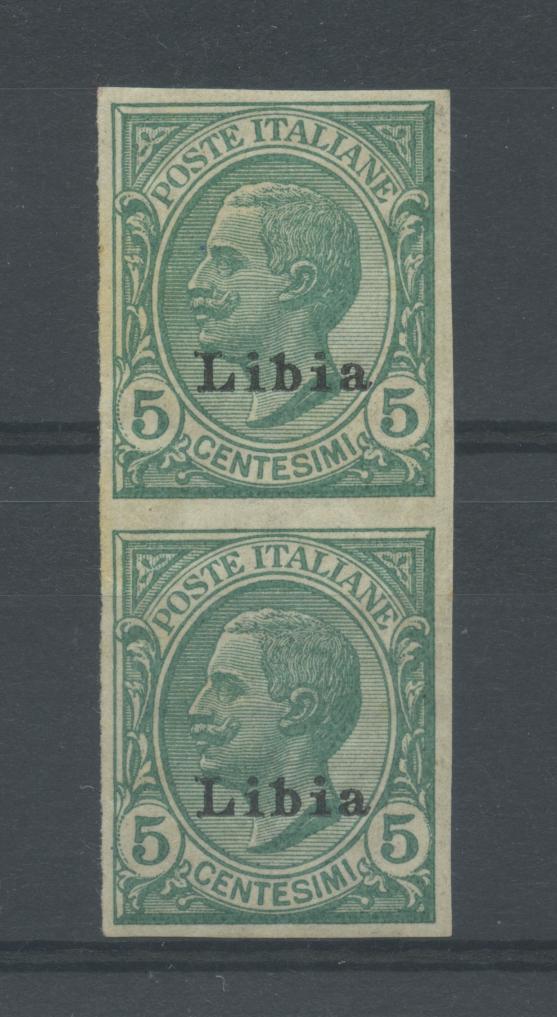 Scansione lotto: COLONIE LIBIA 1921 PITTORICA C.15 X2 N.D. *