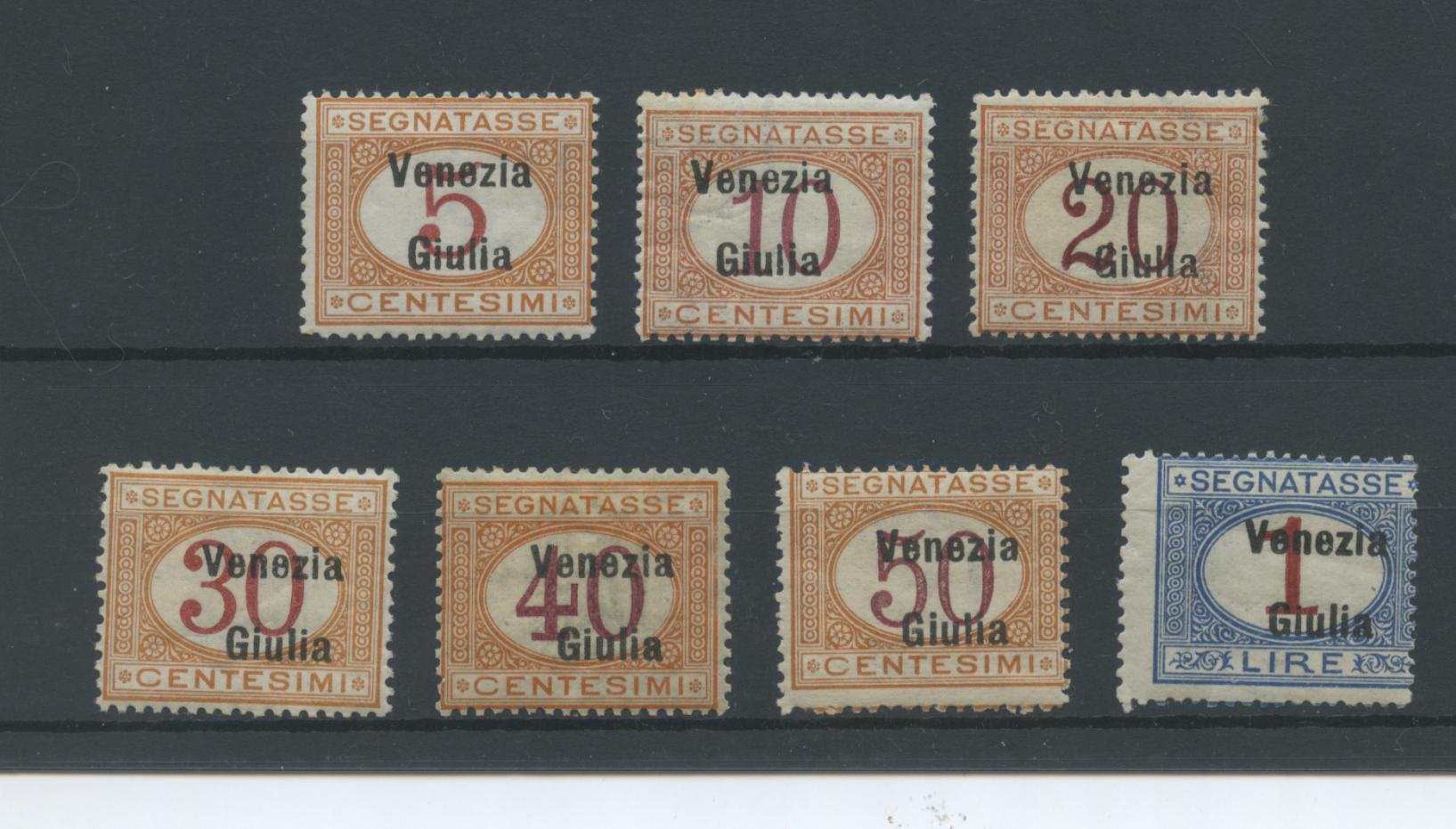 Scansione lotto: OCCUPAZIONI VENEZIA GIULIA 1918 TASSE 7V. *