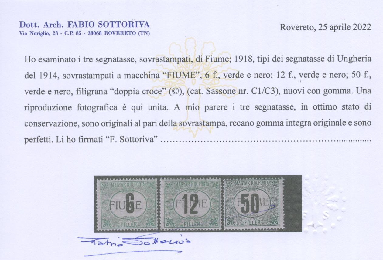 Scansione lotto: OCCUPAZIONI FIUME 1918 TASSE N.C1/C3 **  CERT.