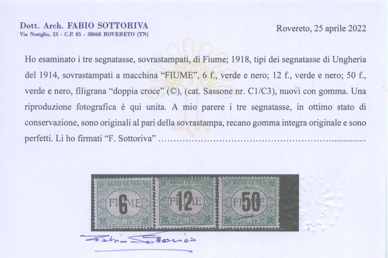Scansione lotto: OCCUPAZIONI FIUME 1918 TASSE N.C1/C3 ** CENTRATO CERT.