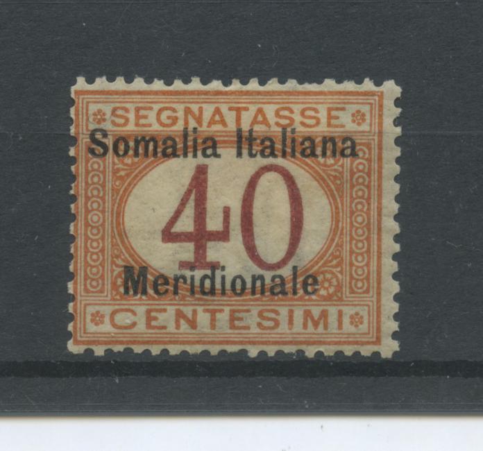 Scansione lotto: COLONIE SOMALIA 1906 TASSE 40C. N.5 *